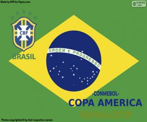 пазл Бразилия, чемпион Копа Америка 2019